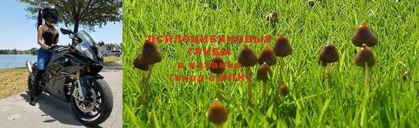 дурь Арсеньев