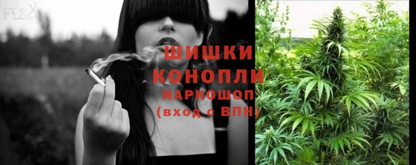дурь Арсеньев