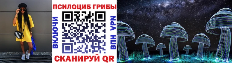 что такое   Лениногорск  Псилоцибиновые грибы ЛСД 